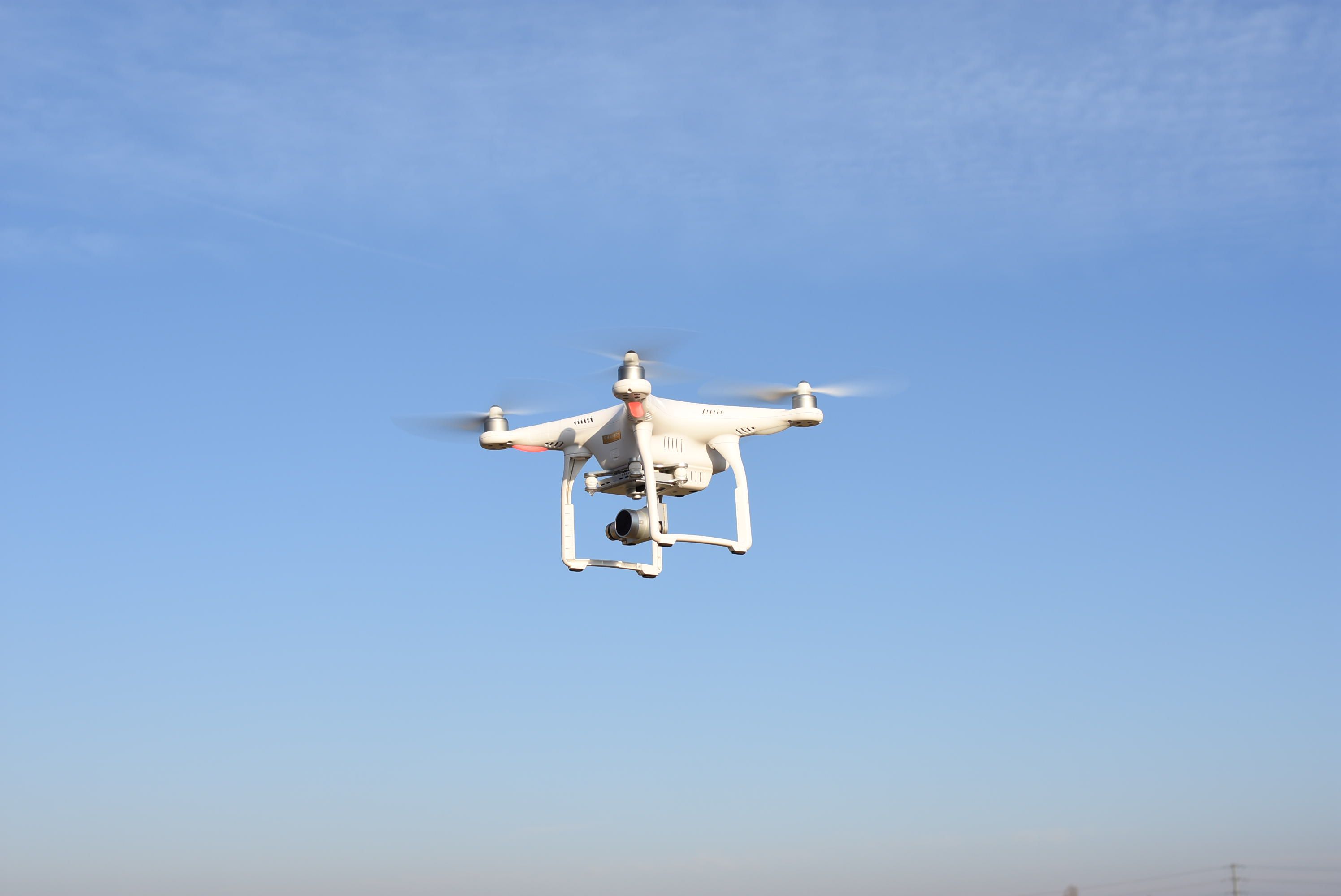 immagine di DSC 4279