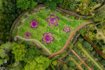 immagine di DJI 0128