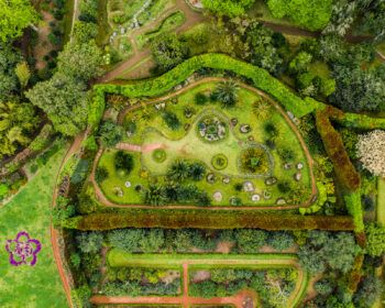 immagine di DJI 0132