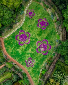 immagine di DJI 0138