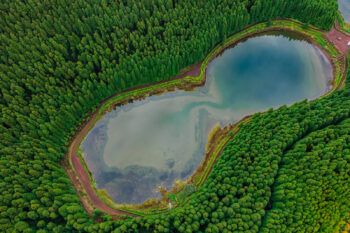 immagine di DJI 0753