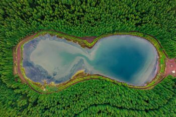 immagine di DJI 0758