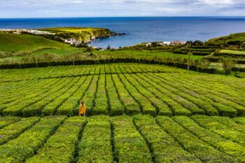 immagine di DJI 0865