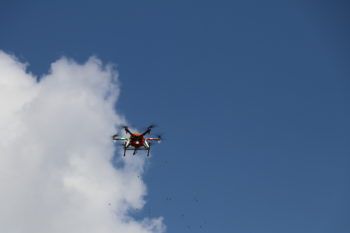 immagine di IMG 9818