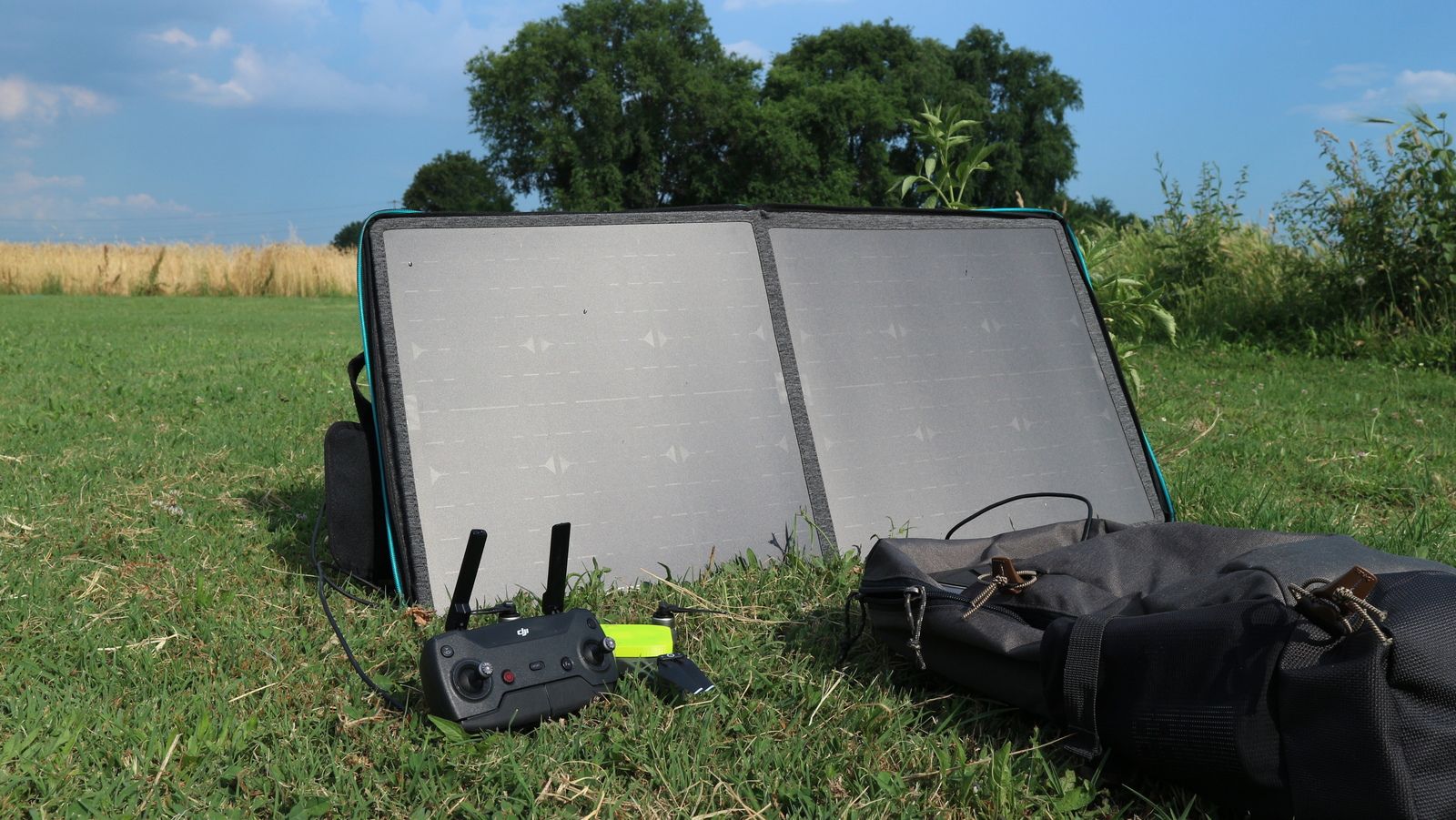 immagine di IMG 1995 ok web