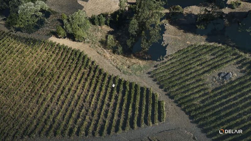 dettagli mappatura vigne francia
