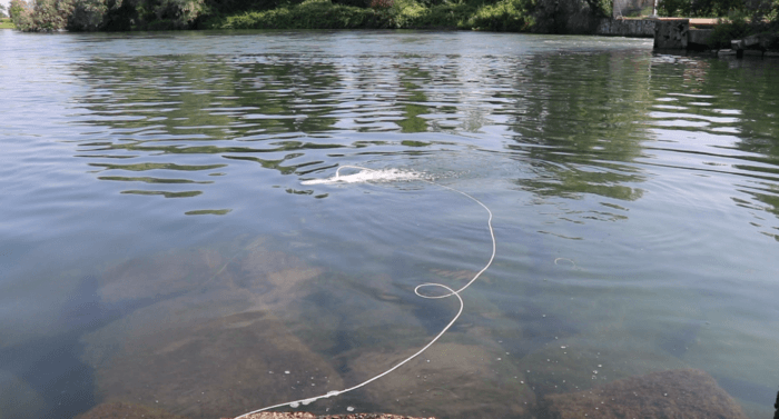 immagine di Schermata 2019 08 06 alle 20.06.18