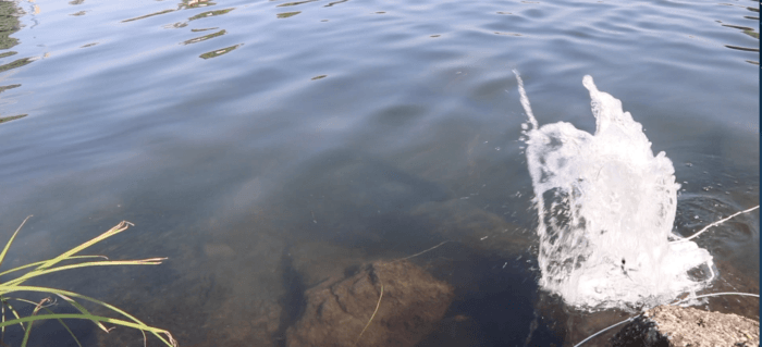 immagine di Schermata 2019 08 06 alle 21.46.03