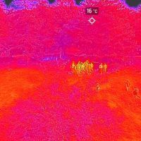 immagine di 70153745 1296004637235787 7327577763072704512 o