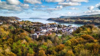 immagine di DPP3WcgX0AEBtcV