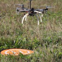 immagine di IMG 9860