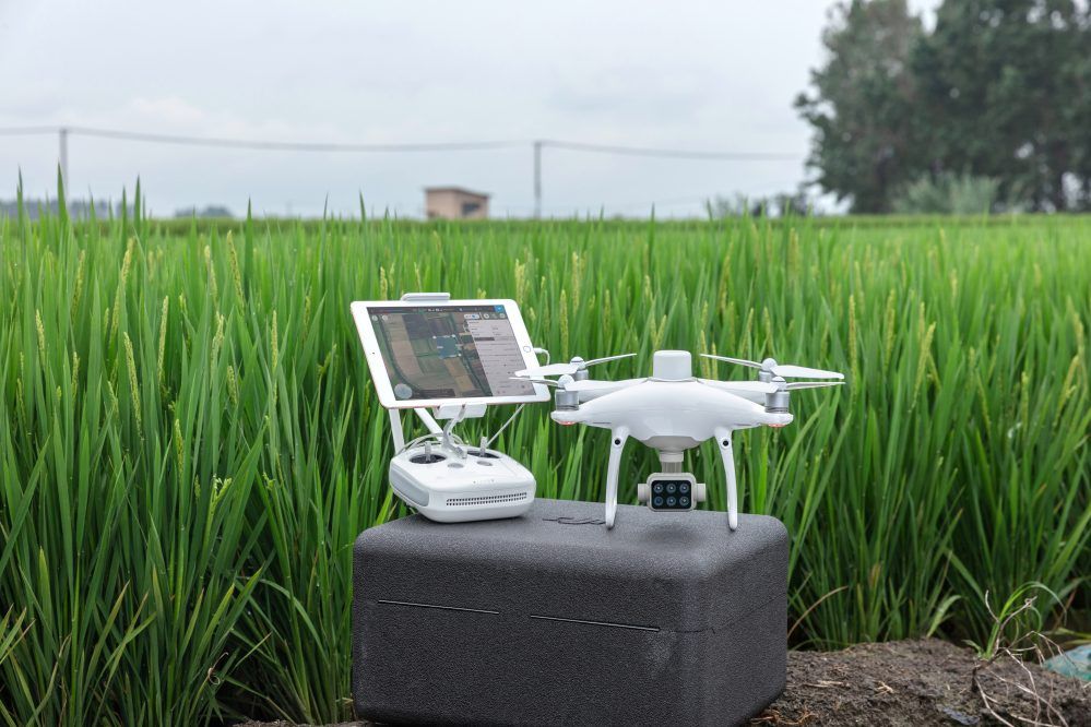 immagine di P4 Multispectral In Field 1