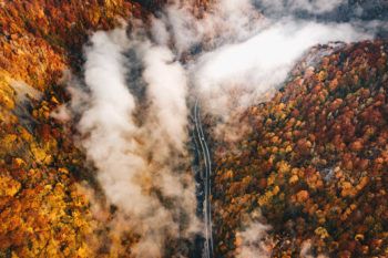 immagine di b3c34898 5c6d 4338 aae6 fff3cc646148 rw 1920