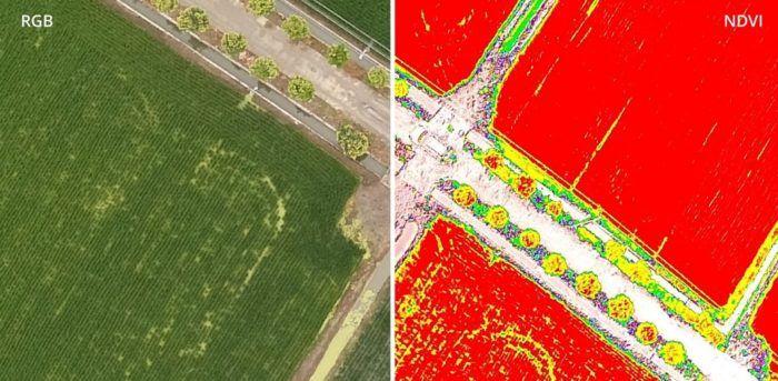 immagine di foto drone dji p4 multispectral indice ndvi agricoltura