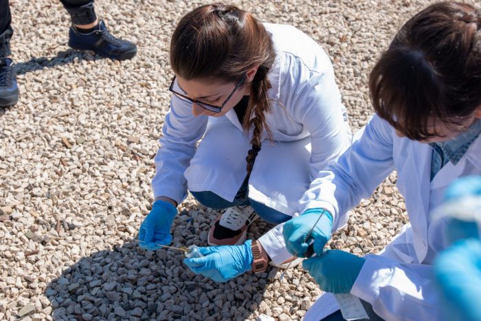 immagine di prelievo di bossoli