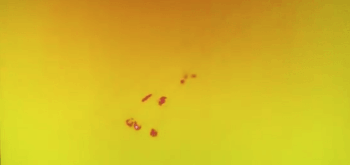 immagine di Schermata 2019 10 18 alle 08.53.17