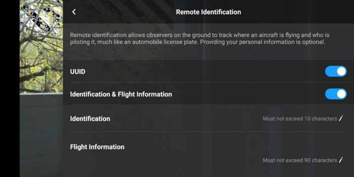 immagine di identificazione remota dji mavic mini