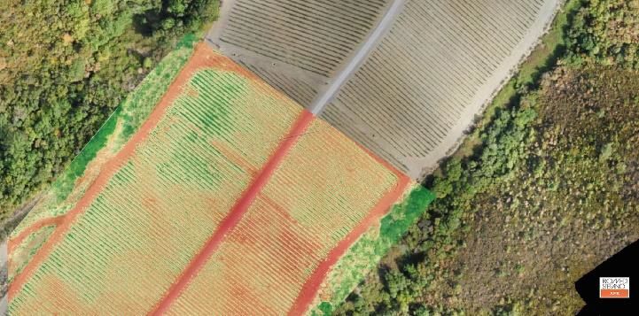 immagine di rilevo multispettrale con drone in vigneto