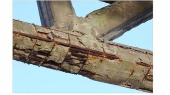 immagine di zxzx