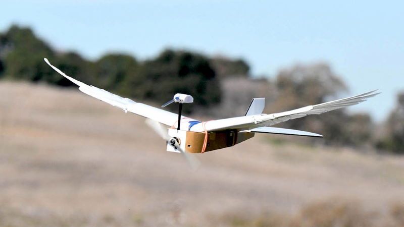 drone pigeonbot