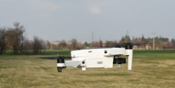 immagine di DSC 4157 zino 2 in volo