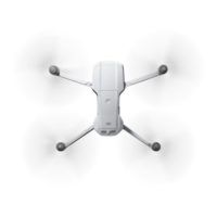 immagine di Mavic Air 2 4