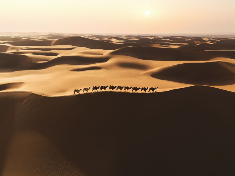 immagine di qualit%C3%A0 foto mavic air