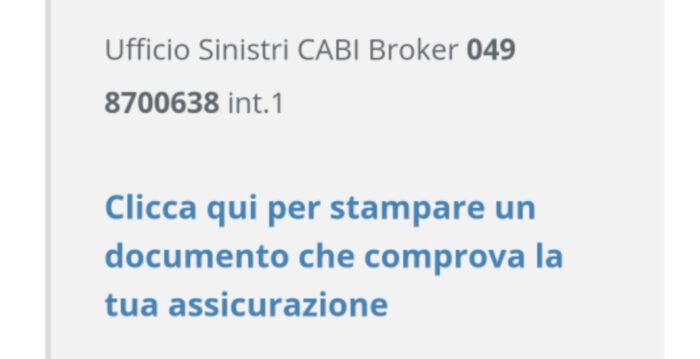 immagine di Polish 20200617 200210180