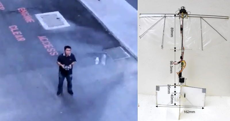 drone ornitottero
