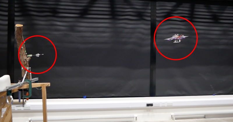 drone spara dardi sensori