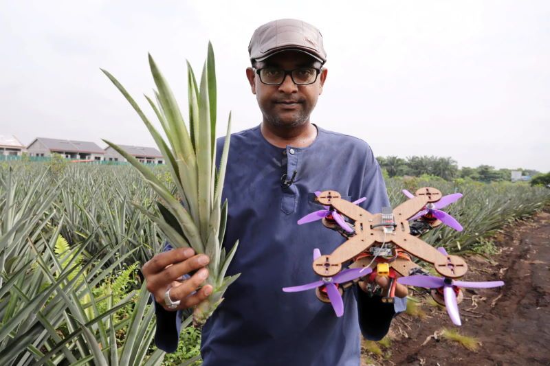 droni telaio fibra di ananas
