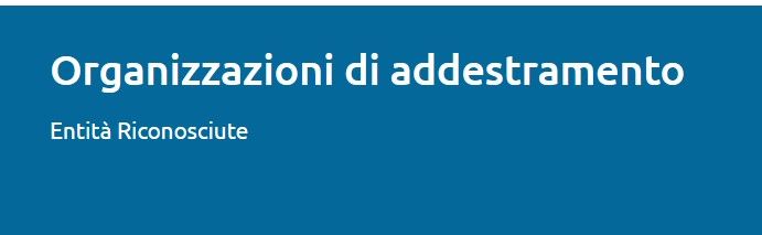 immagine di entita riconosciute