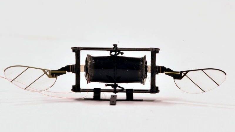 drone insetto mit con attuatori morbidi