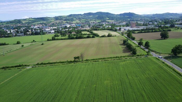 immagine di FIMI0029 orizzonte storto x8 mini w