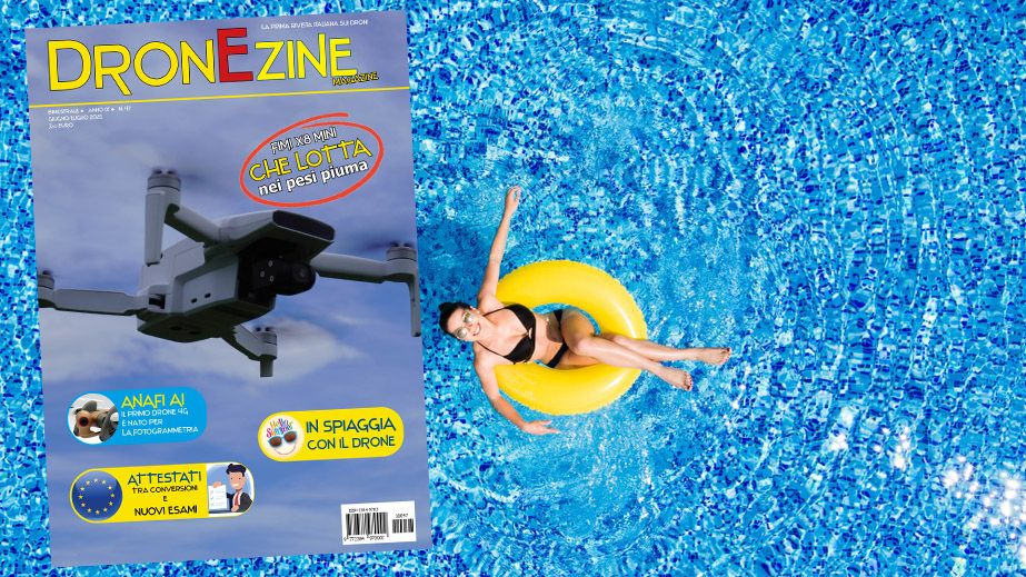 immagine di dzestate