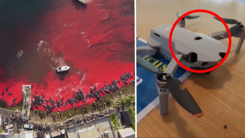 isole faroe drone riprende mattanza globicefali