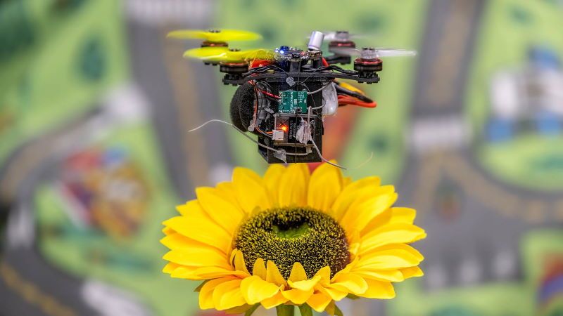 robobeehive università maryland droni impollinatori