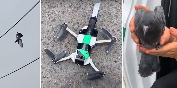 drone taglierino salva piccione in peru