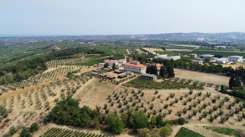 immagine di i campi sorvolati dal drone pegasus
