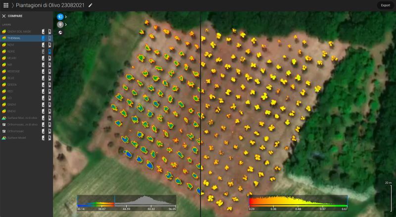 rilievo drone oliveto