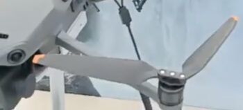 immagine di Senza titolo 2