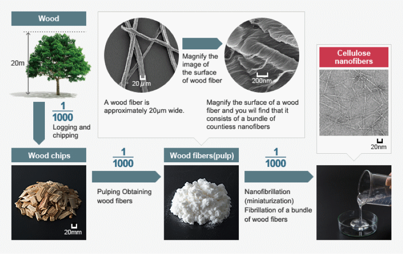 come si ricava la nanofibra di cellulosa