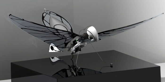 drone stealth design uccello francia