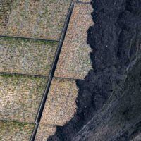 immagine di DJI 0784