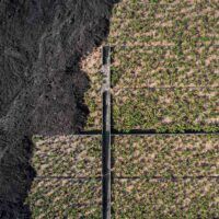 immagine di DJI 0802