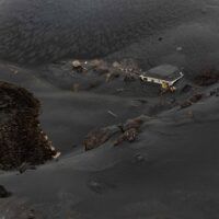 immagine di DJI 0933 1
