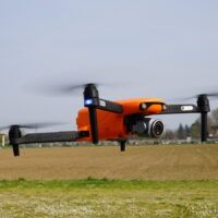 immagine di DSC01292 web