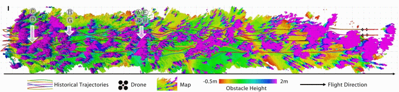 3d mappa sciame di droni autonomo dentro foresta