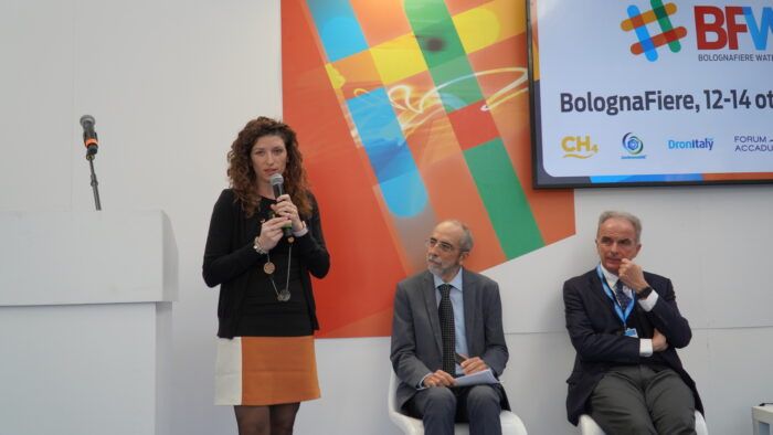 immagine di olivares delise di palma DSC02110