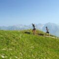 immagine di dji storie tv8 mont blanc